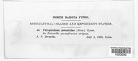 Image Associated With the Occurence